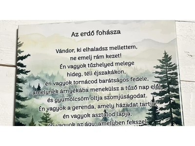 Az erdő fohásza